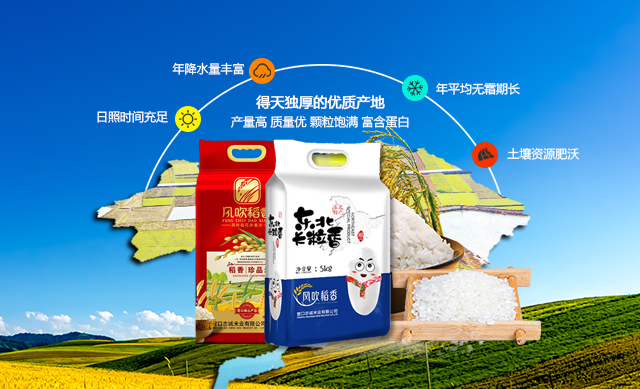 bet8·(集团)有限公司官网